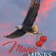 Book cover with American Eagle Flying over a sunset for Magic Mines - The Treasure of Love.
